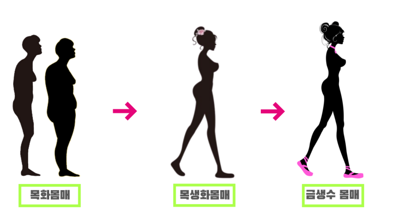 b34cc59829fbc.png