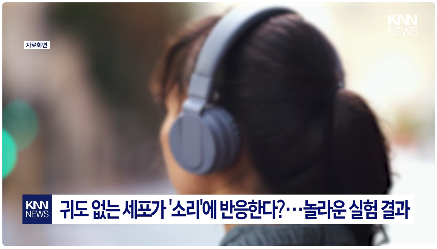 f0df4c7964cb6.png