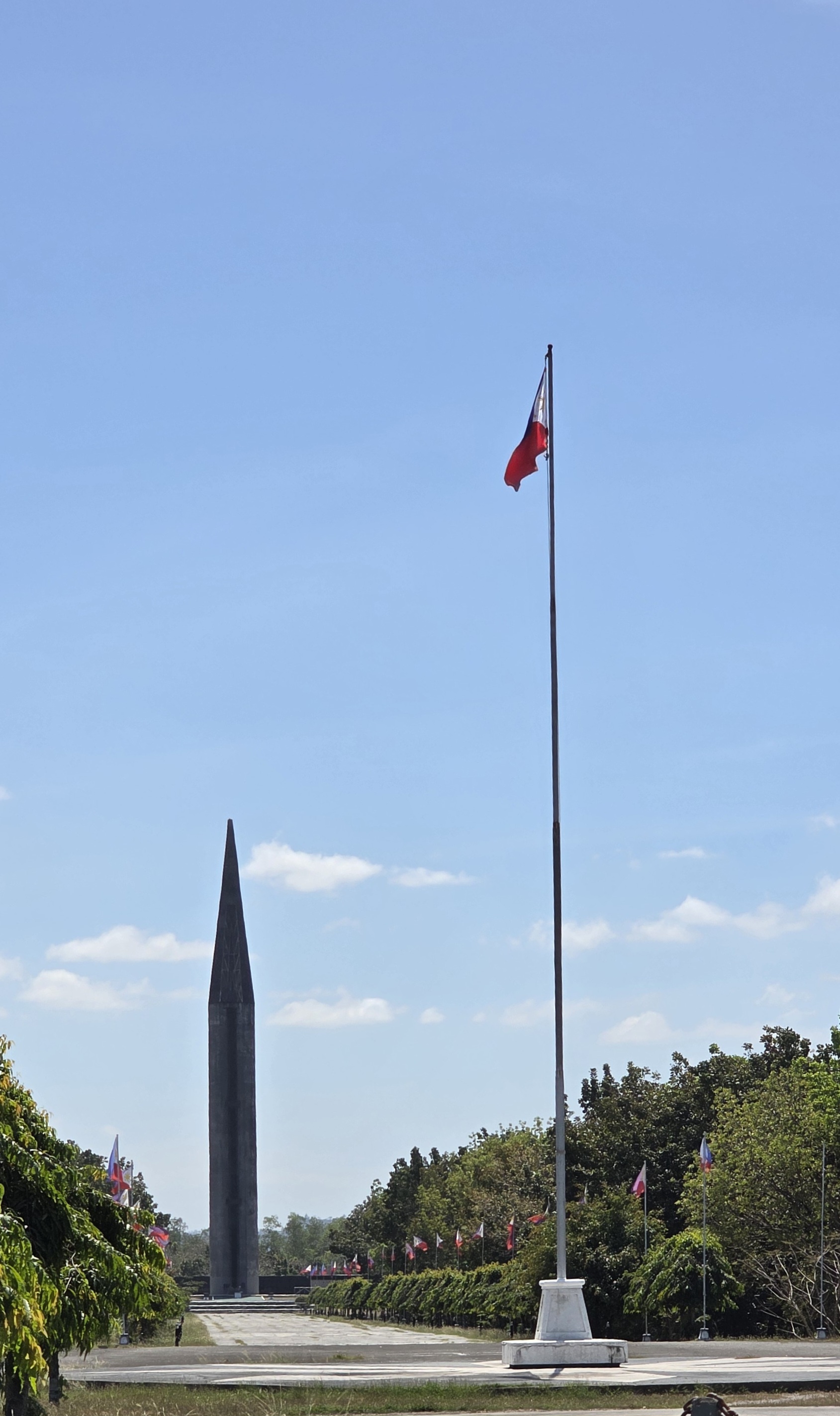 41186b82dfc90.jpg