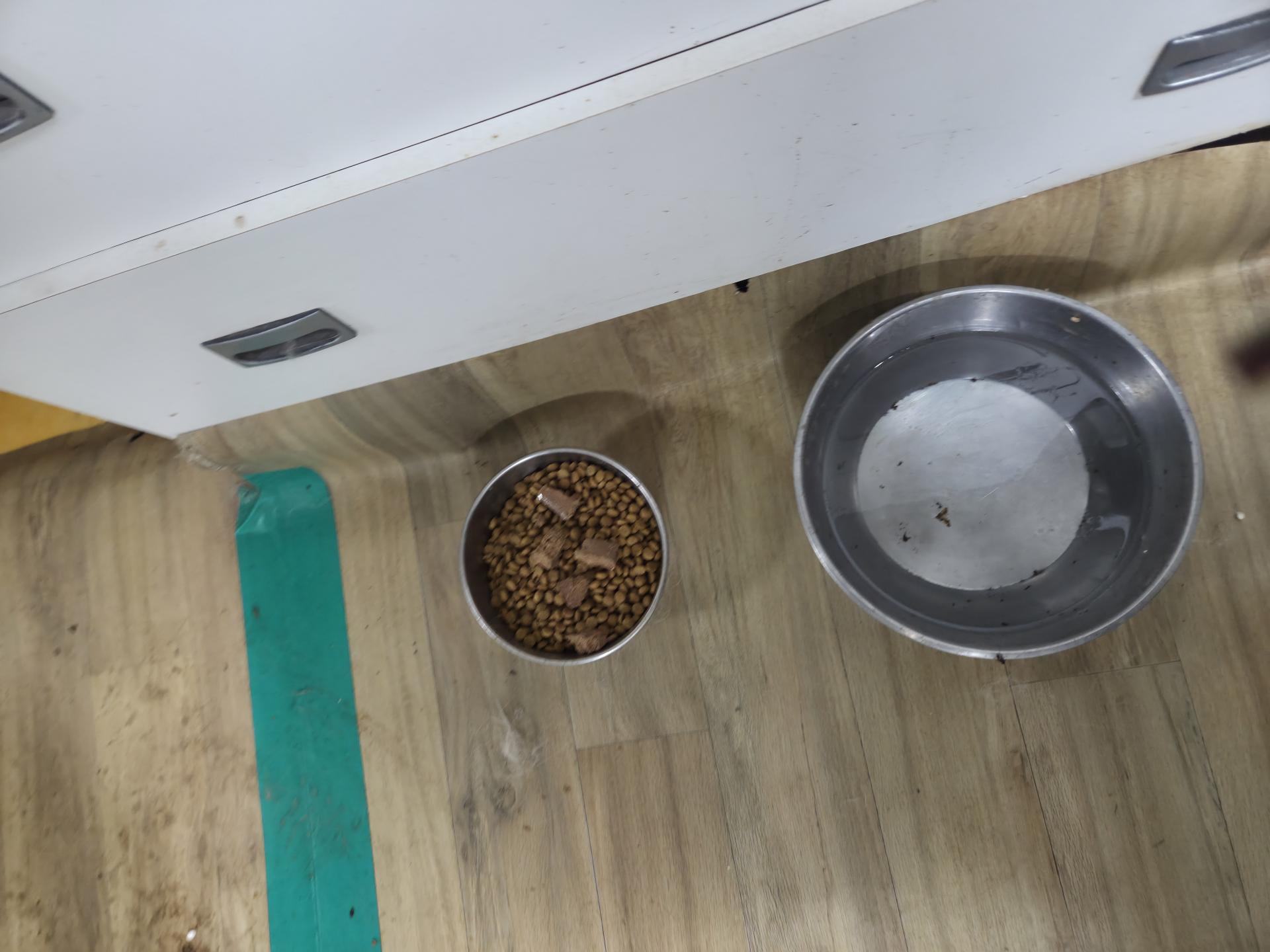 62cc3cf8d5910.jpg