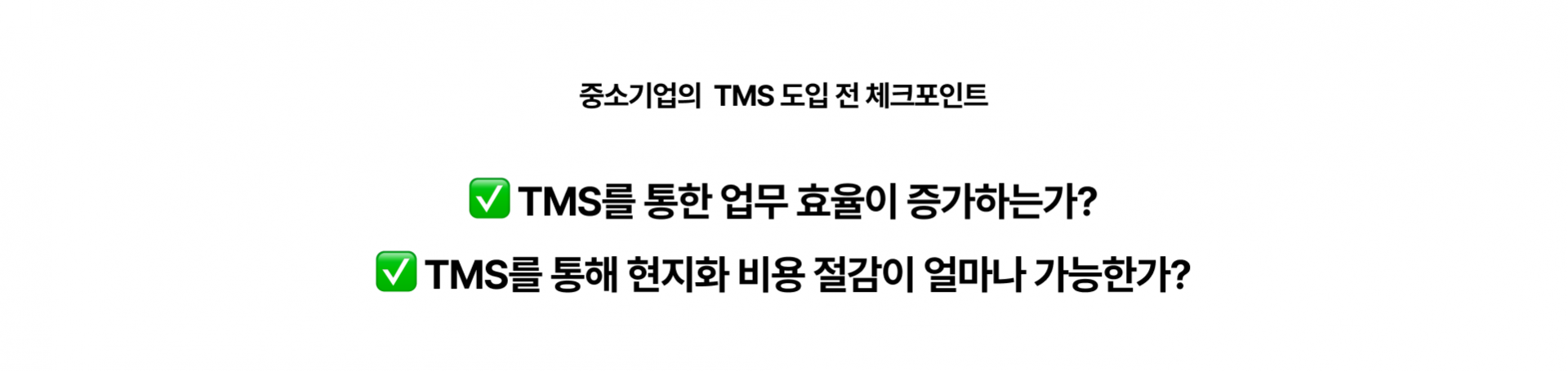 03 중소기업 TMS 체크포인트.png