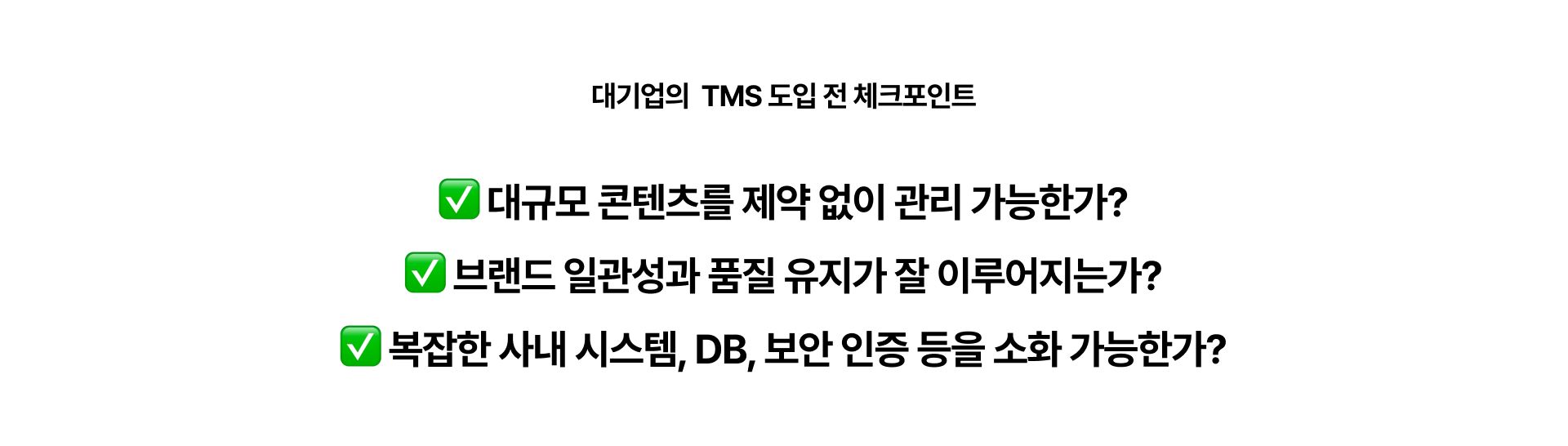 04 대기업 TMS 체크포인트.png
