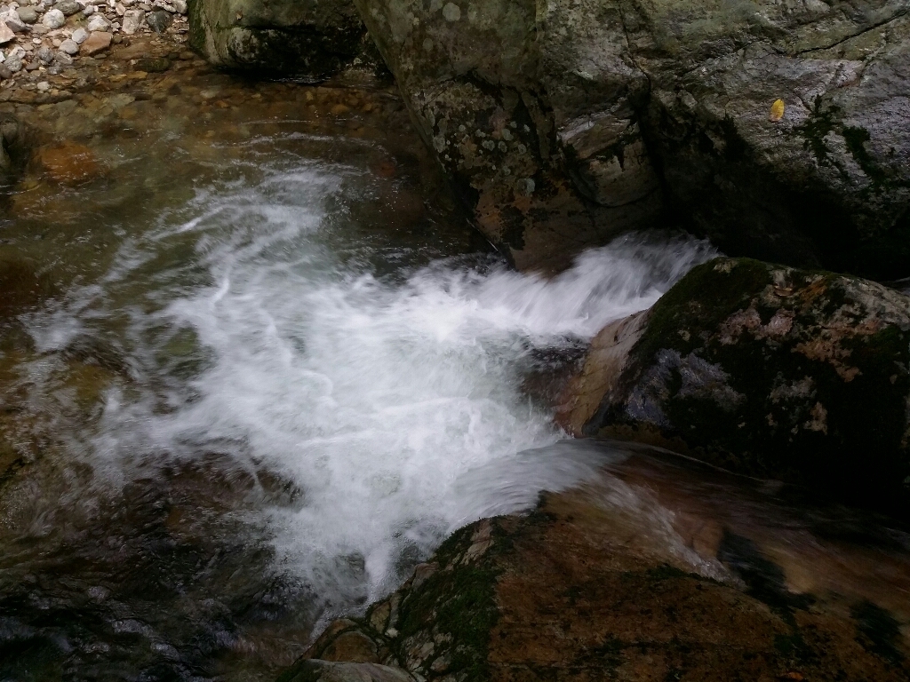 57ab10ea058e4.jpg