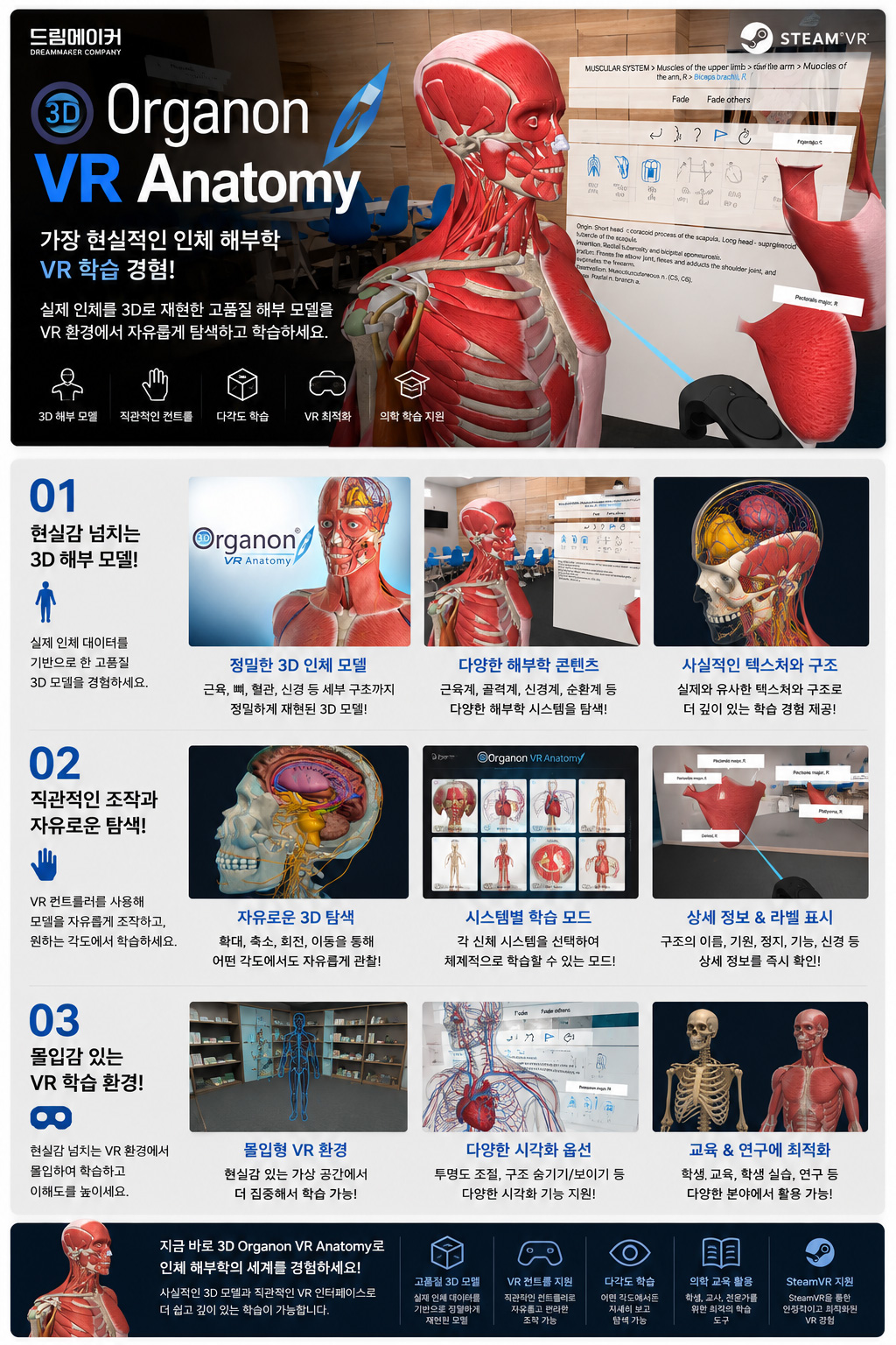 3D Organon VR Anatomy