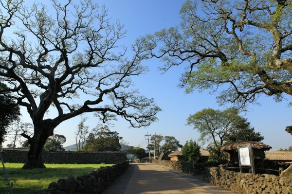 5c63818921887.jpg