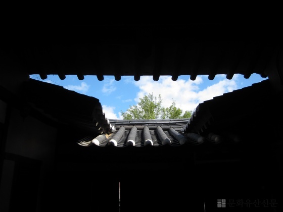 5c6504730d5aa.jpg