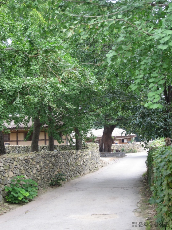 5c6627dd9c466.jpg