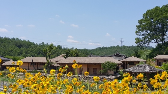 5c66286bb3719.jpg