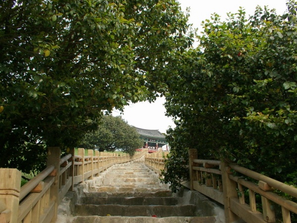 5c6a15aaabab7.jpg