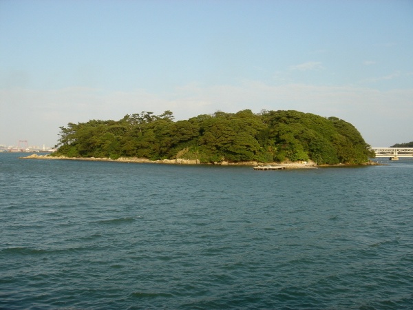 5c6a19d91cfc8.jpg
