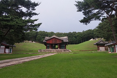 5c6a447337732.jpg