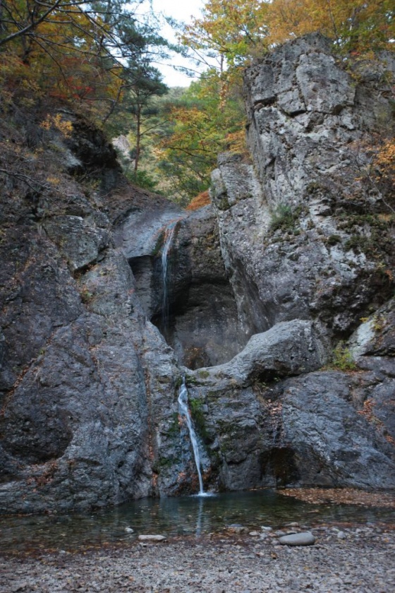 5c6ff35898d88.jpg