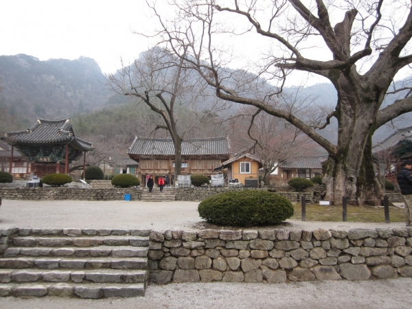 5c79f66283047.jpg