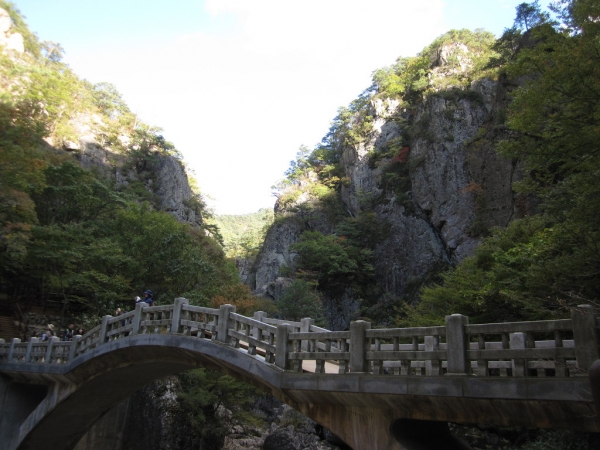5c7b2f1468c15.jpg