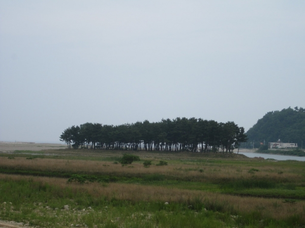 5c7b395cb3ff9.jpg