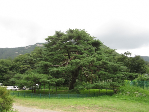 5c7b3a9013ae9.jpg