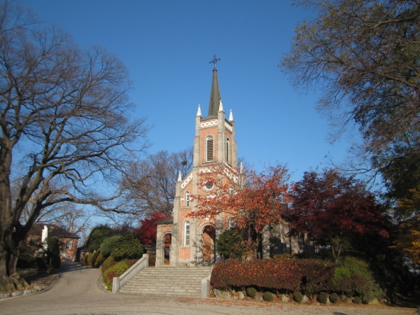 5c7b3d776bf89.jpg