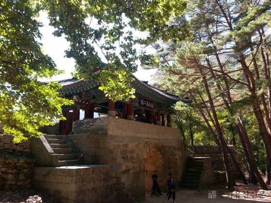 5c7b44f40c894.jpg