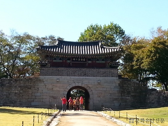 5c7b4505e9354.jpg