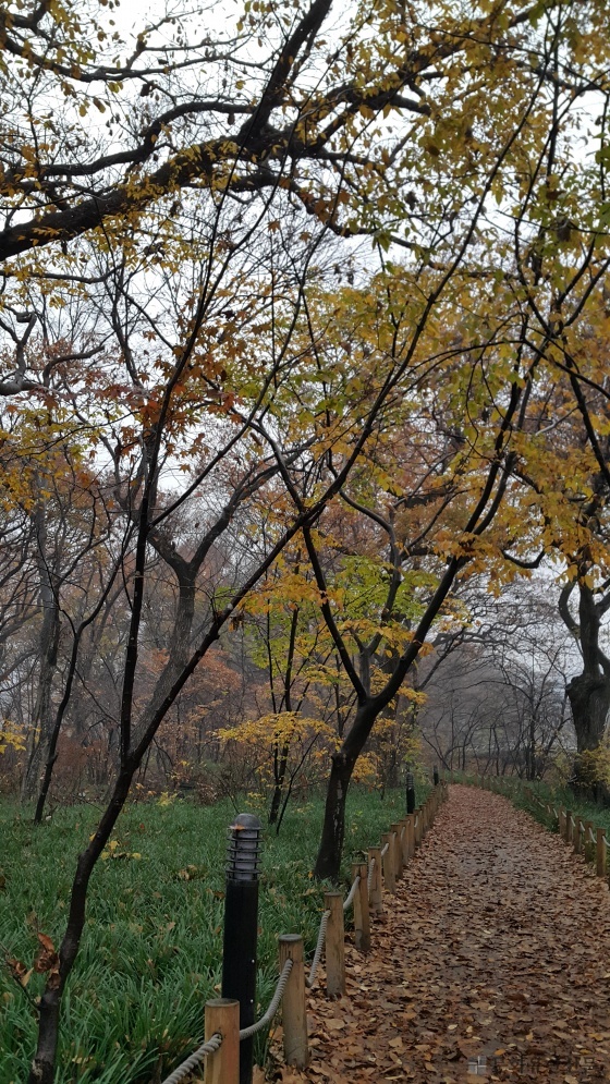 5c7b4594a094b.jpg