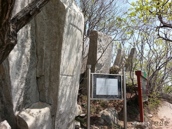 5c7b4a095c112.jpg