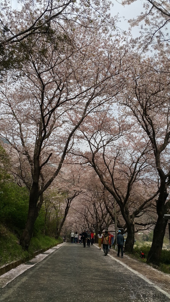 5c7b5b59e8548.jpg