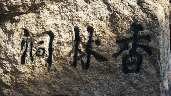 5c8b324930ab0.jpg