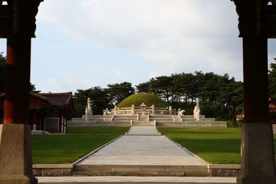 5c8b328f08998.jpg