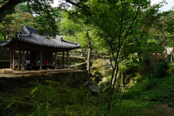 5c9829165153d.jpg