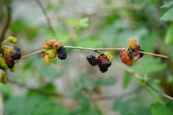 5c982b25b9897.jpg