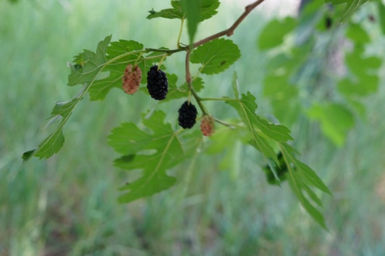 5c982b3476636.jpg