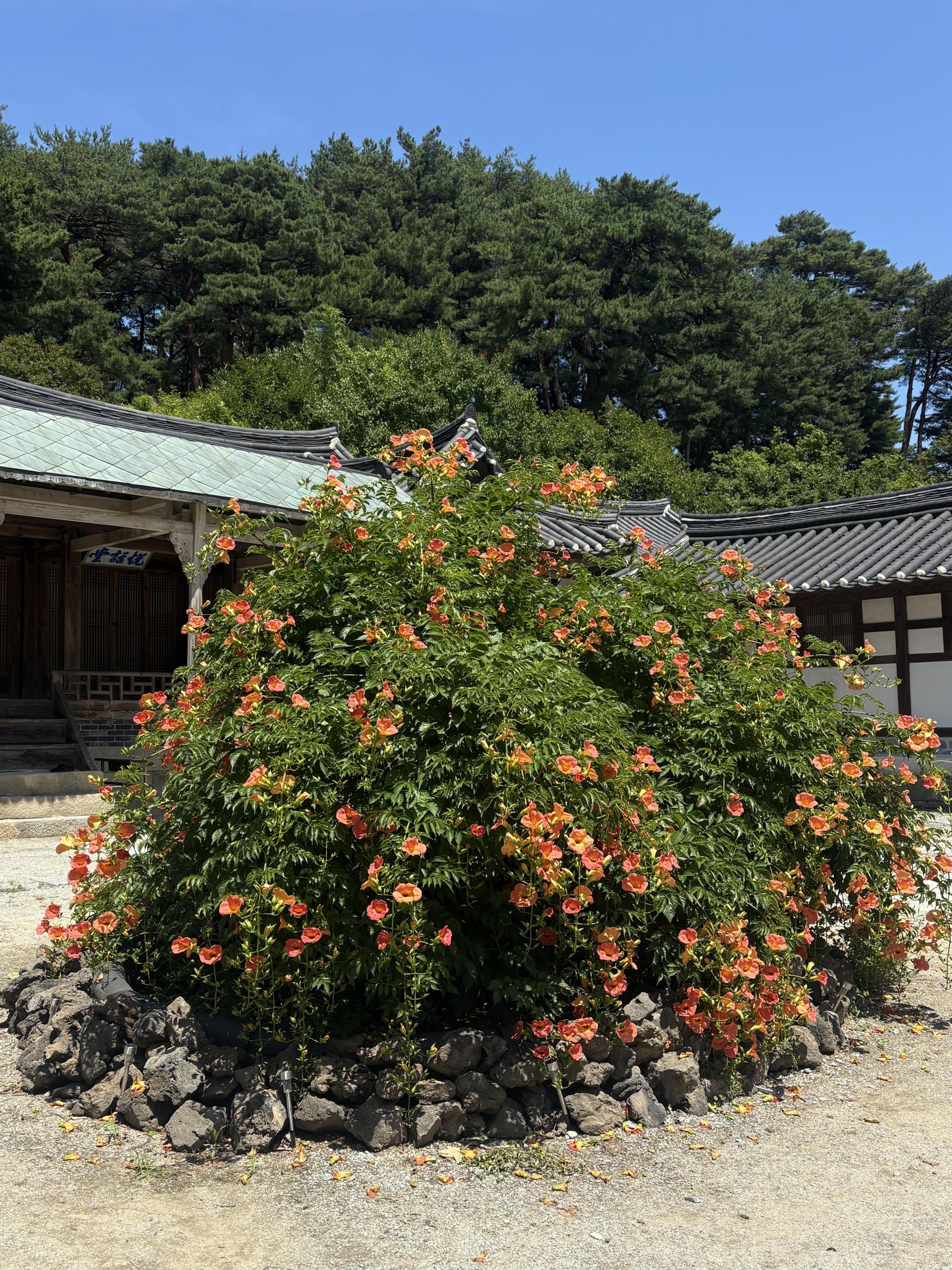 ef3b2845c0d63.jpg