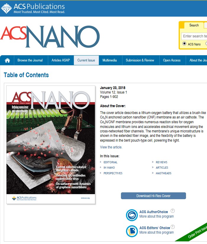 ACS NANO Publishing News   5a6837d54e122 