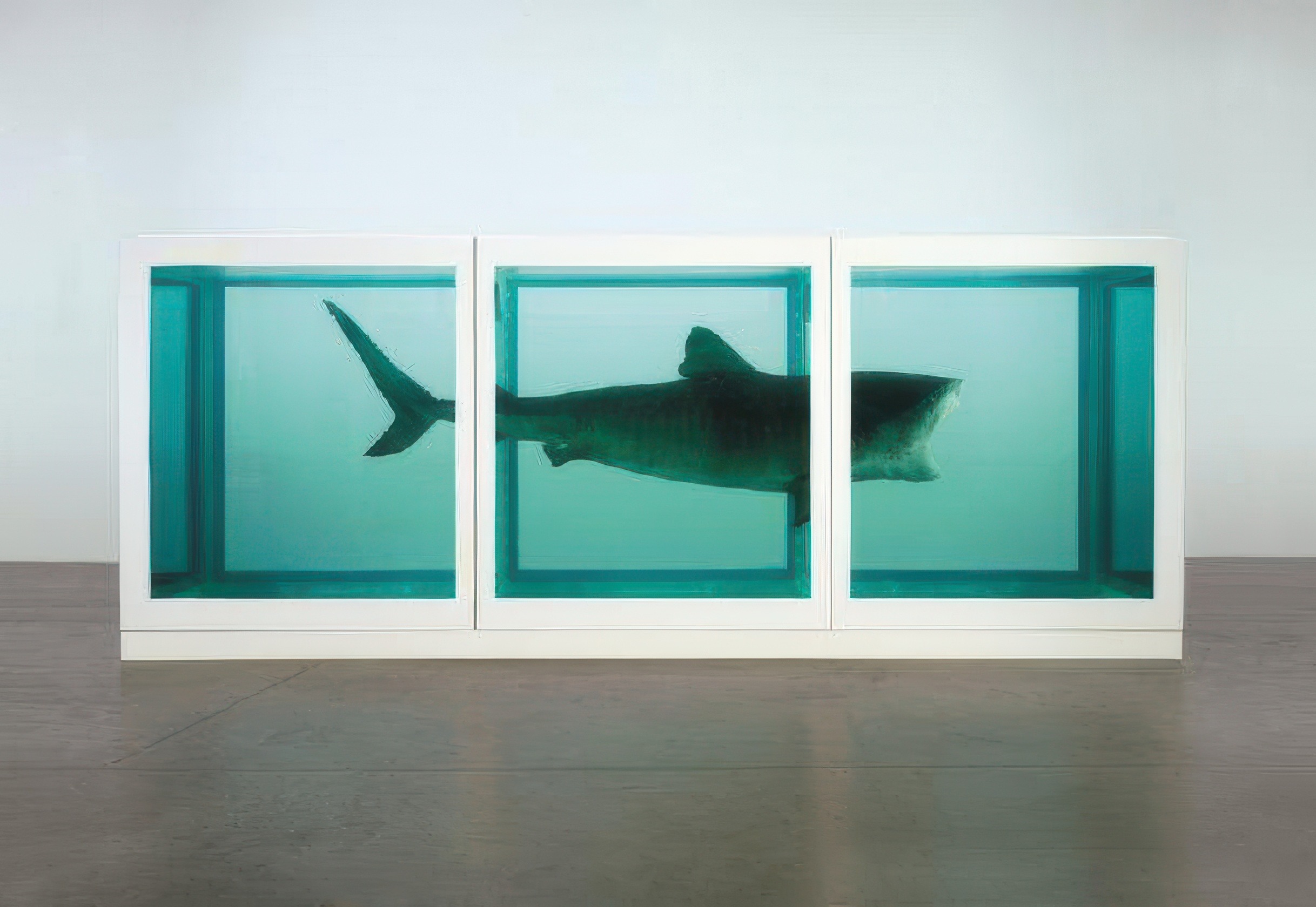 살아있는 자의 마음 속 죽음의 물리적 불가능성, 1991, 유리, 채색된 철, 실리콘, 모노필라멘트, 상어, 포름알데히드 수용액, 217 X 542 X 180 cm. 개인 소장. Damien Hirst and Science Ltd. All rights reserved, DACS 2026. Photographed by Prudence Cuming Associates