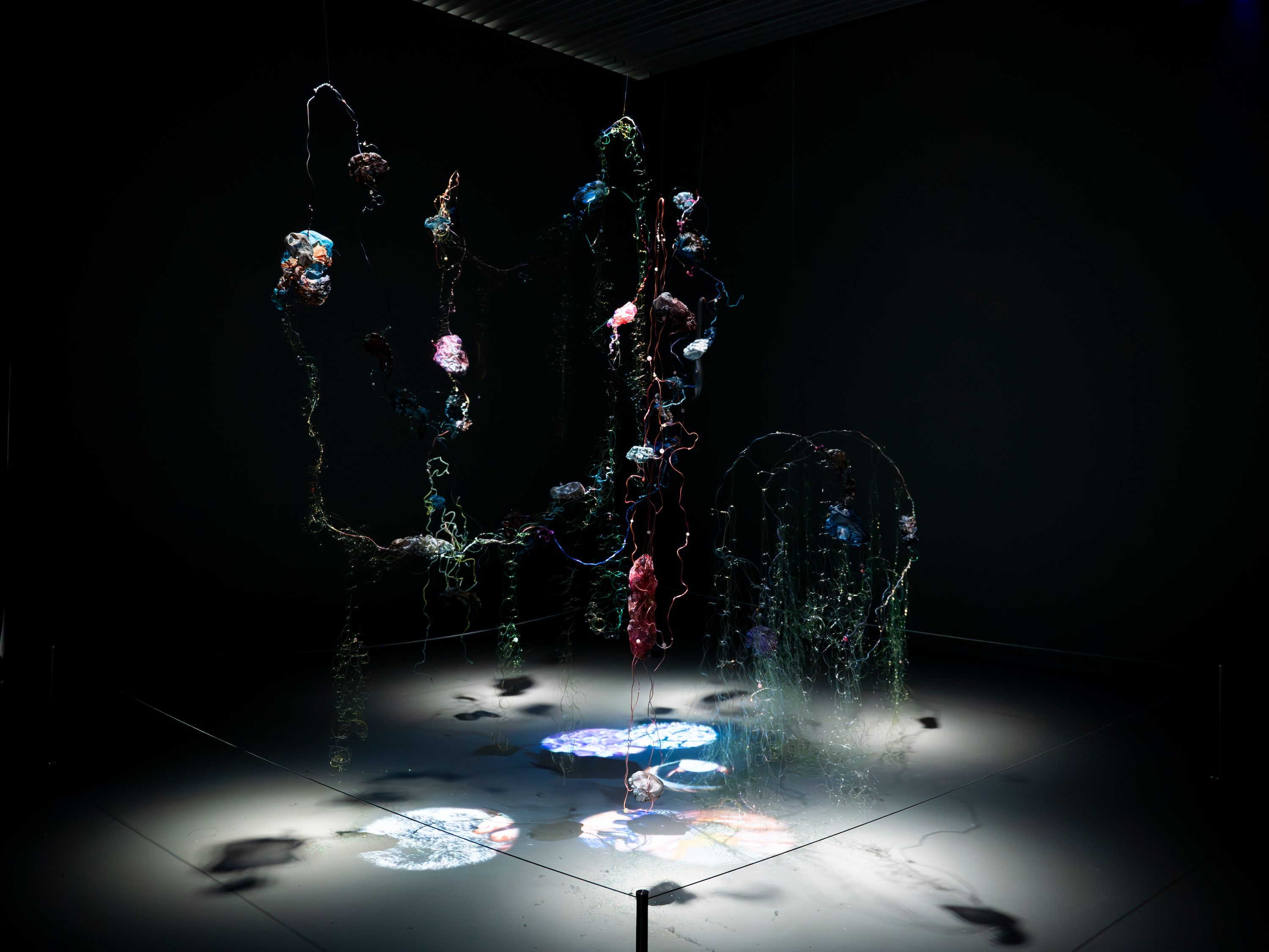 Shao Chun. Exhibition view: 15th Shanghai Biennale: Does the flower hear the bee?, Power Station of Art (8 November 2025–31 March 2026). Photo: Ocula.