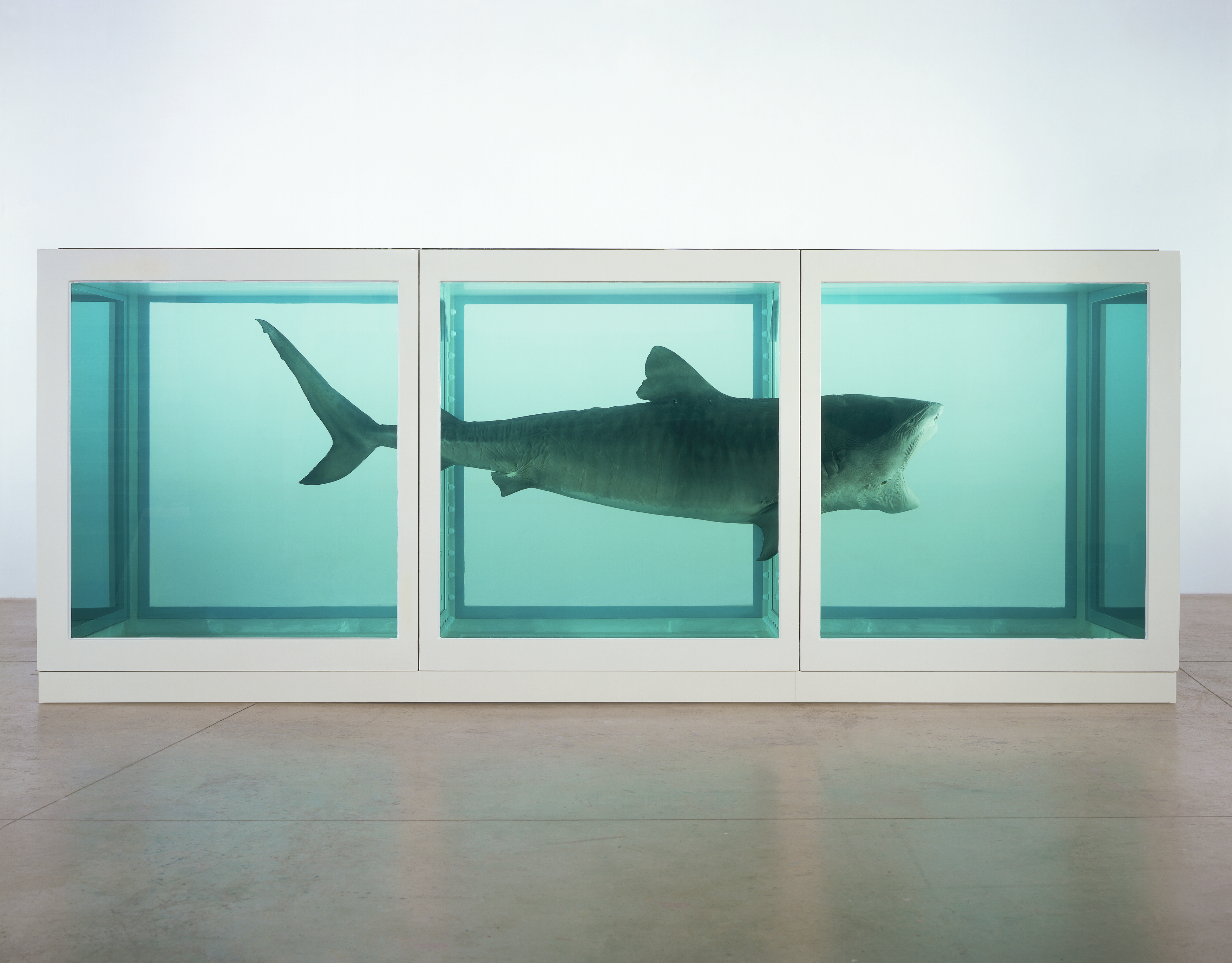 DAMIEN HIRST, THE PHYSICAL IMPOSSIBILITY OF DEATH IN THE MIND OF SOMEONE LIVING., 1991 © DAMIEN HIRST AND SCIENCE LTD. ALL RIGHTS RESERVED, DACS/ARTIMAGE 2018. PHOTO: PRUDENCE CUMING ASSOCIATES LTD.