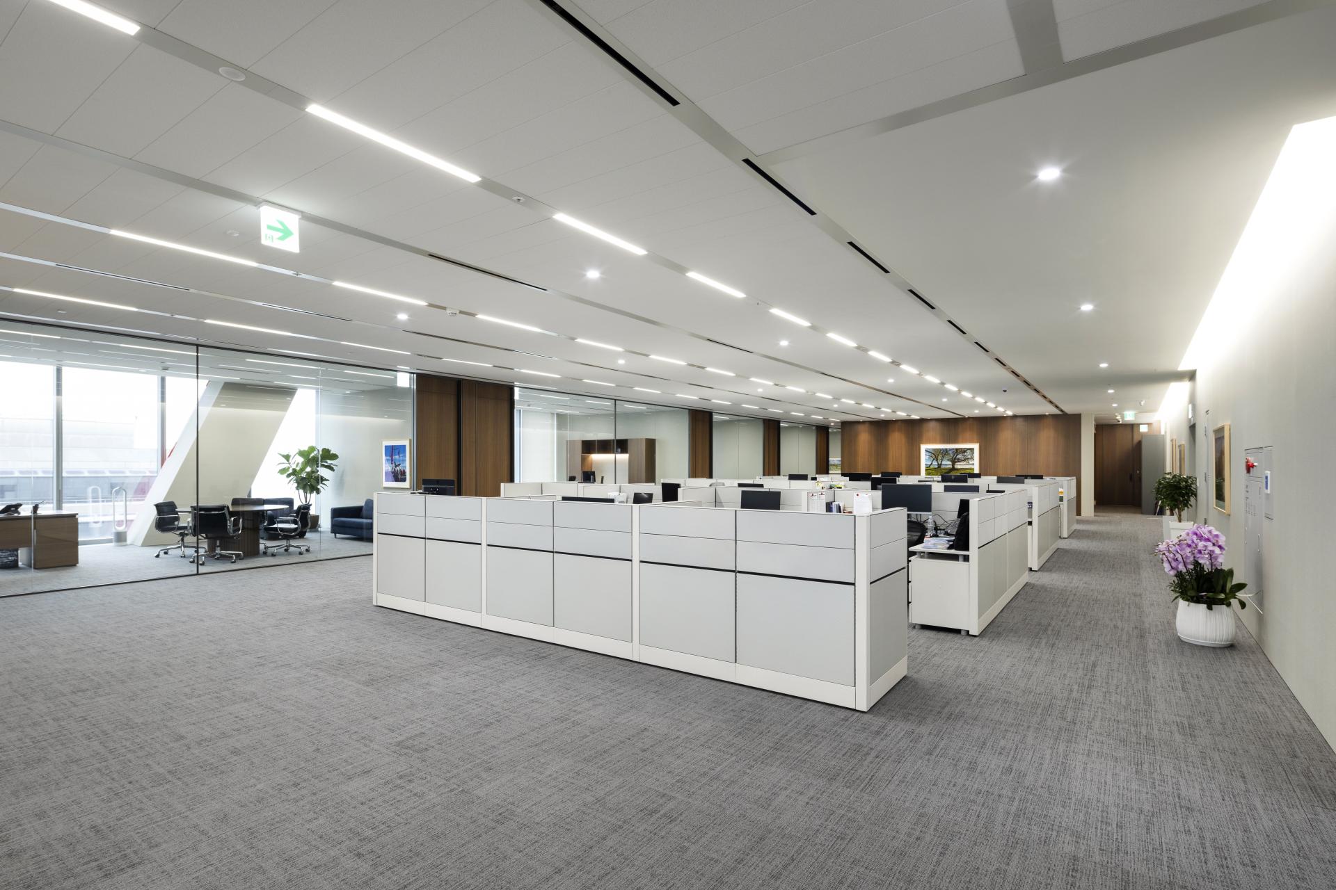 f2bd604799b69.jpg