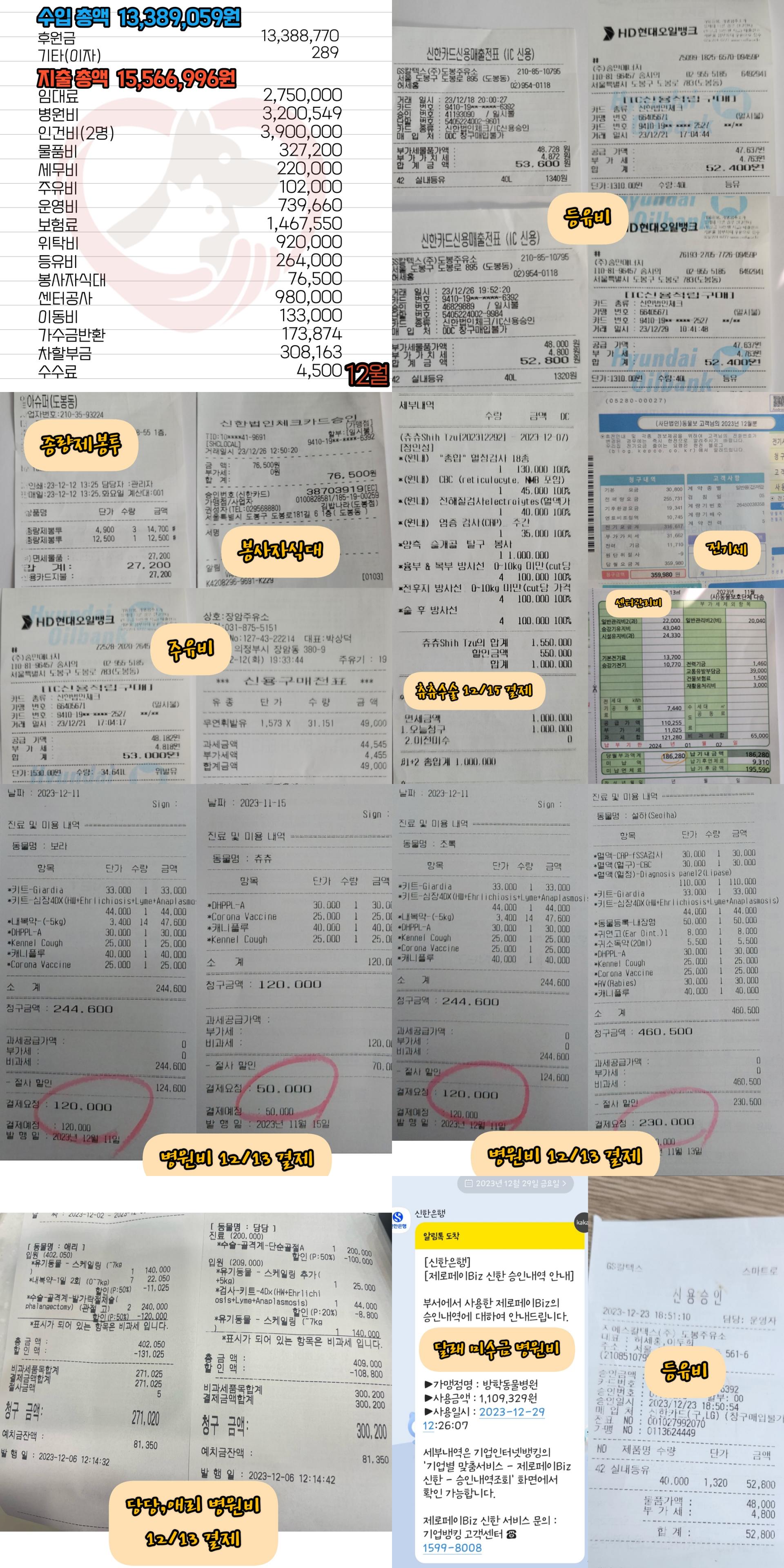 df1b9f255a55e.jpg