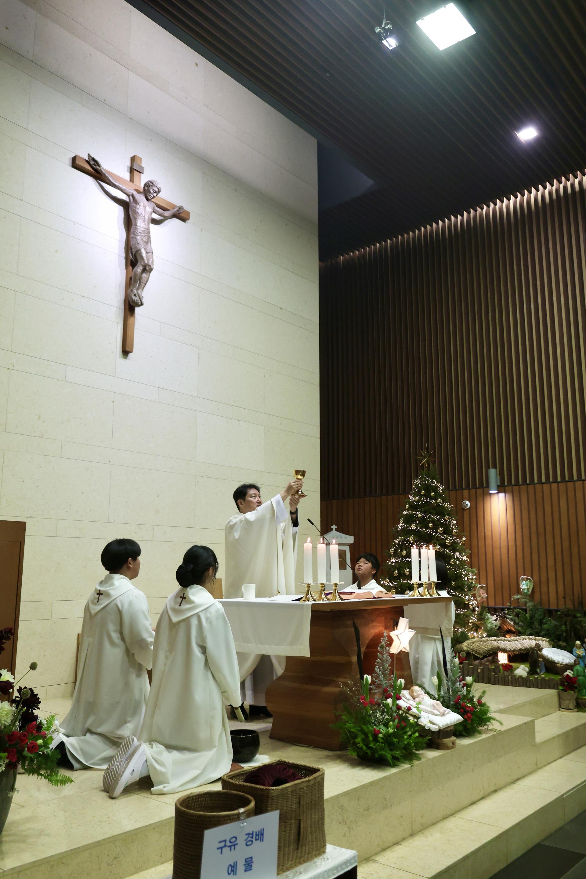 124decc9d253a.jpg