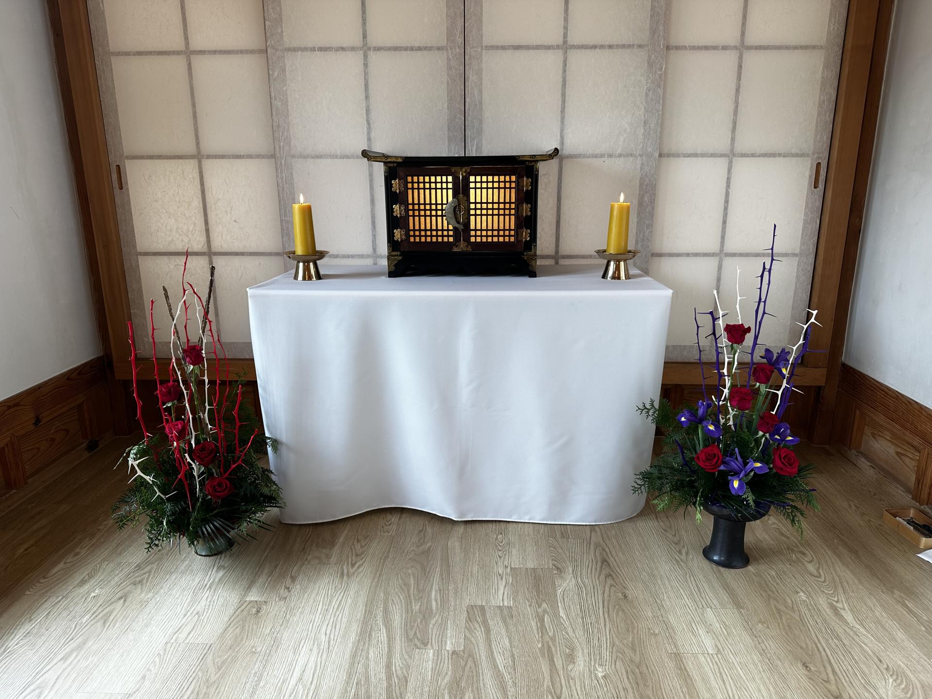 1667bfd686662.jpg