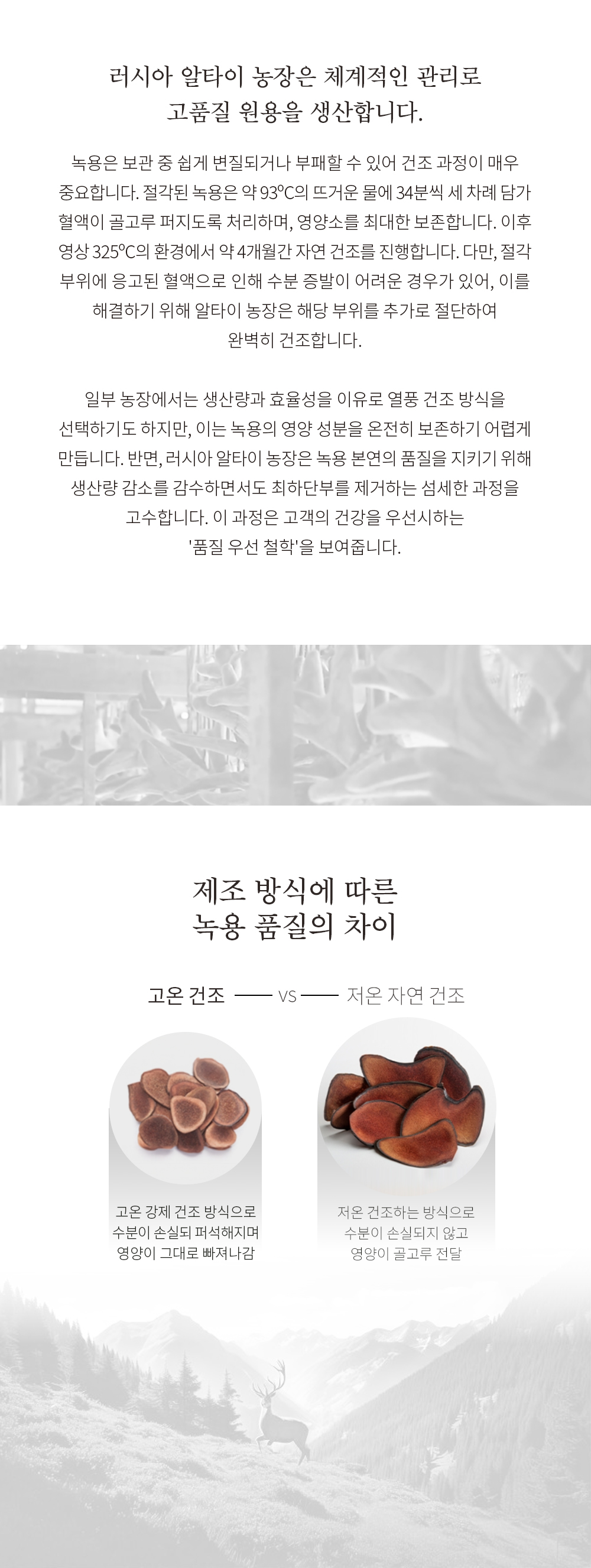 러시아 알타이 녹용 10포 10일분