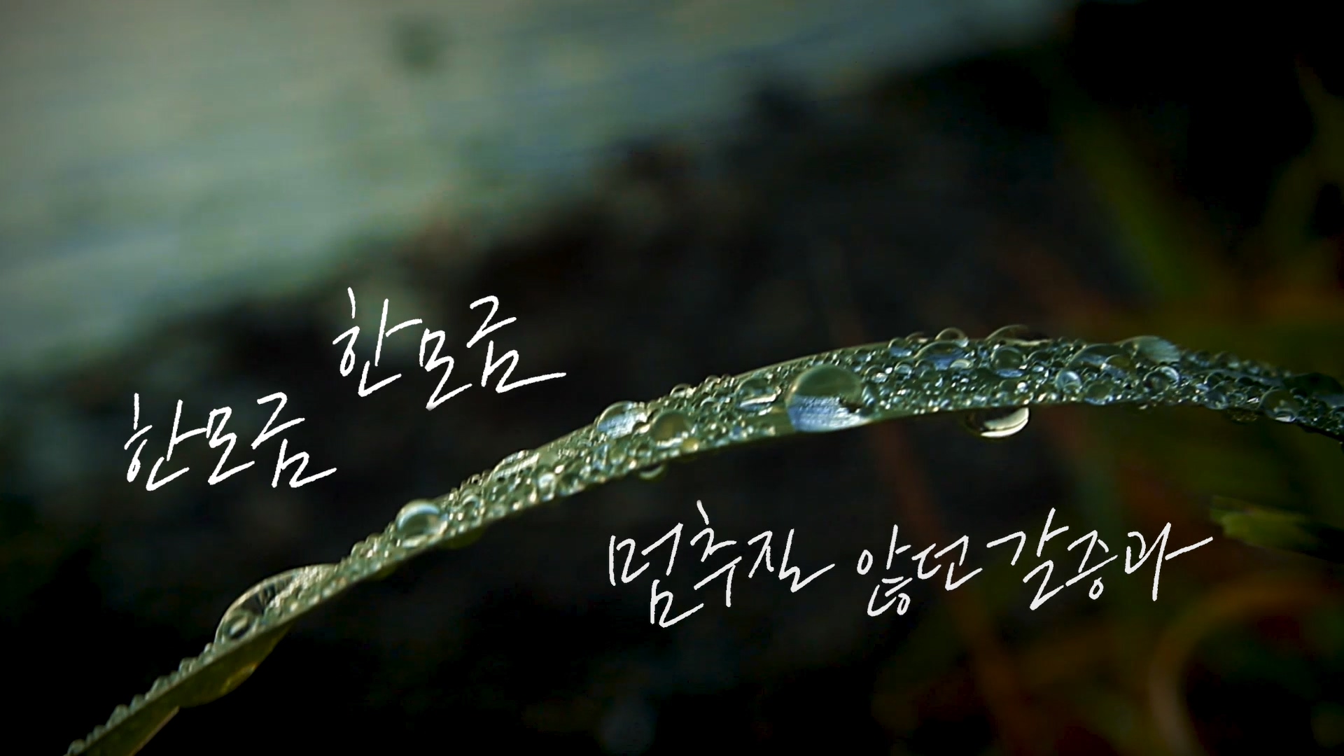 5c885e215d6ff.jpg