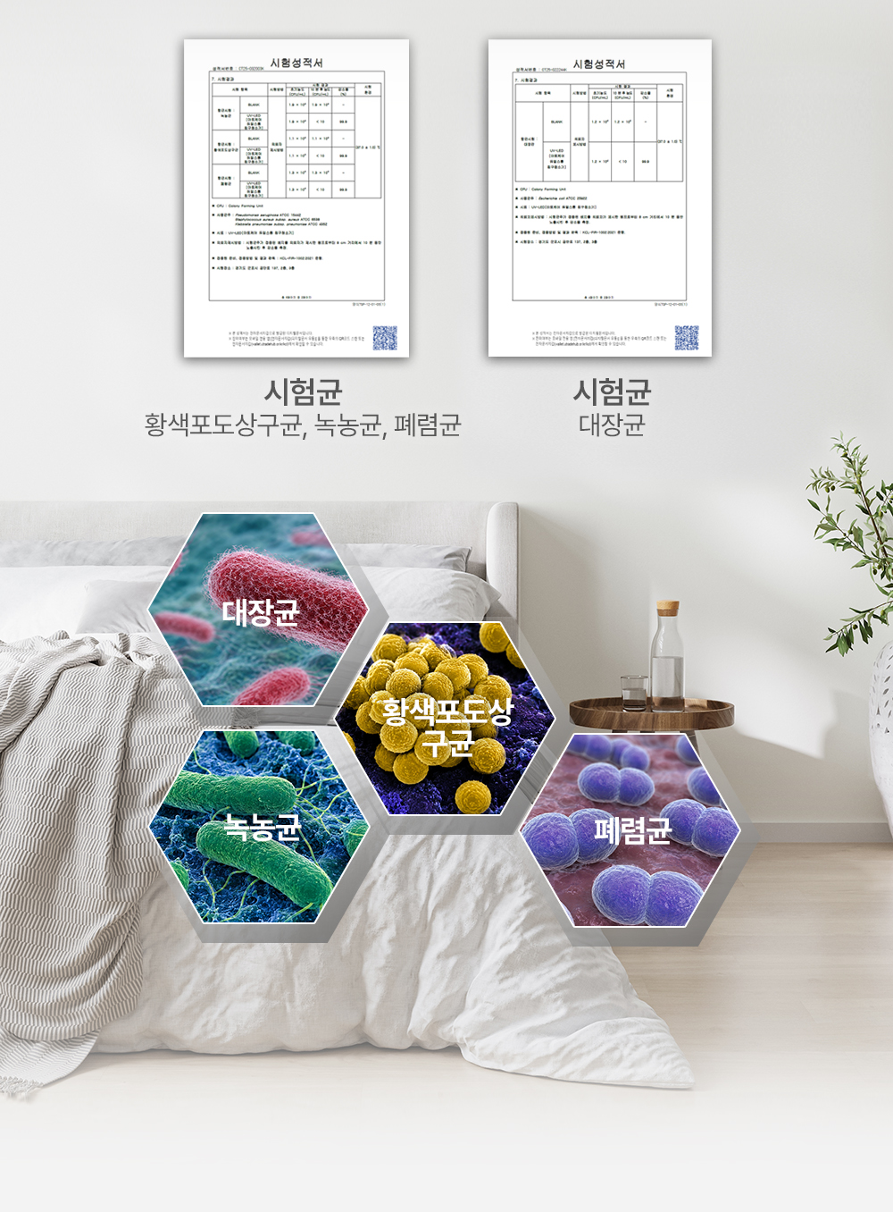 아토케어 듀얼코지 무선 침구청소기