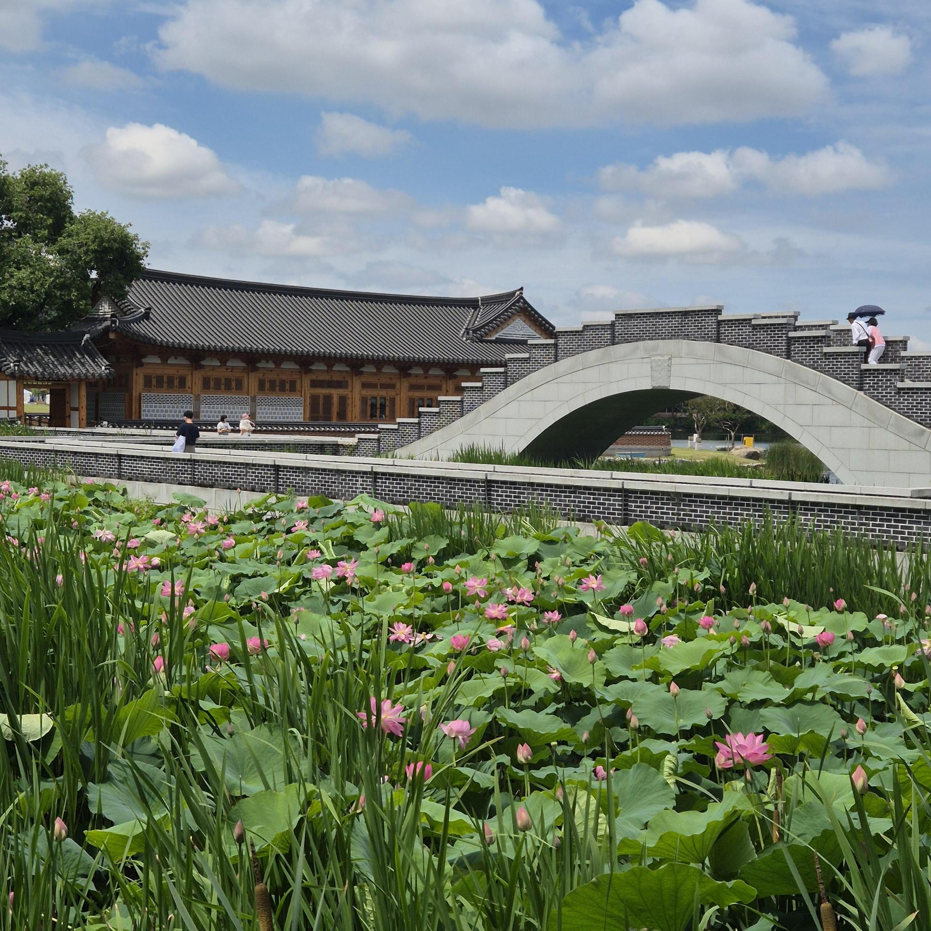 2ec82284a63e0.jpg