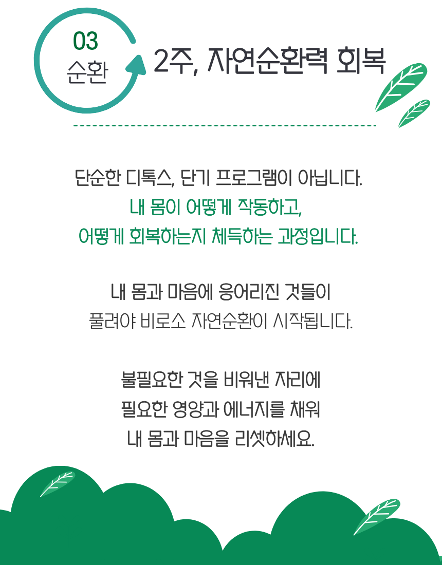 [고마온] 치유본능 회복 2주 프로그램