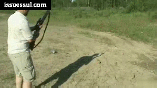 5a8c2a8543ec7.gif