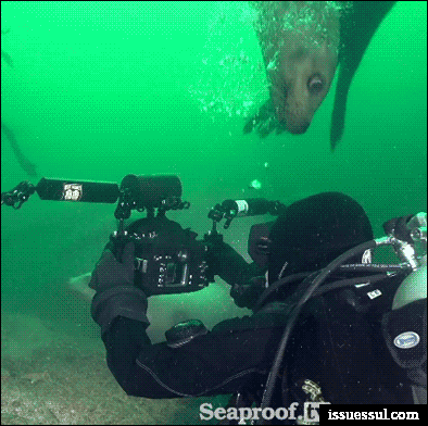 6573f0d99c656.gif