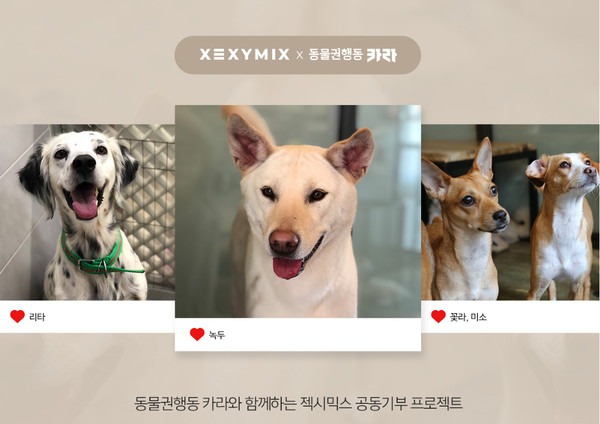 ▲ 젝시믹스, 유기견-유기묘 돕는 ‘동물권행동 카라’에 매출 1% 기부 (사진=젝시믹스)