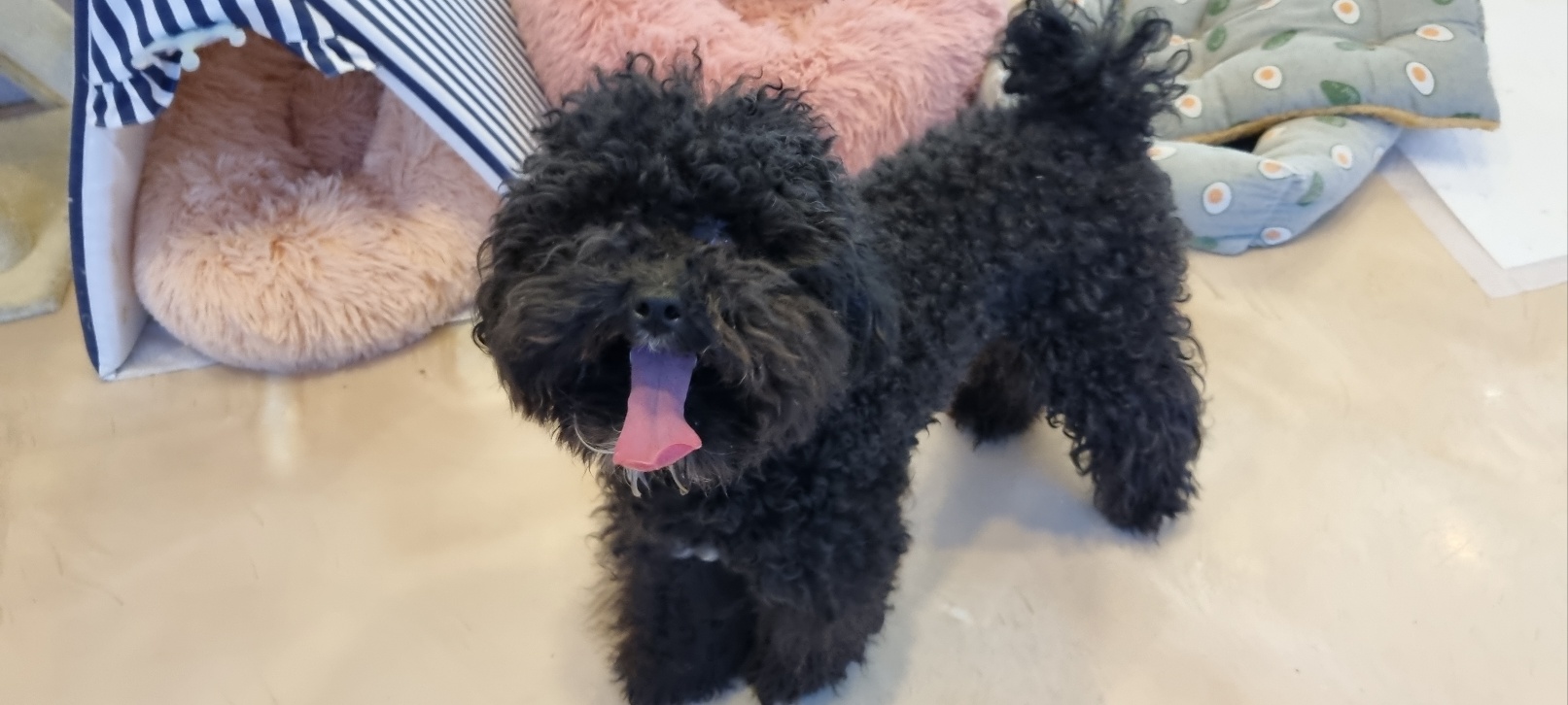 146a0037feb61.jpg