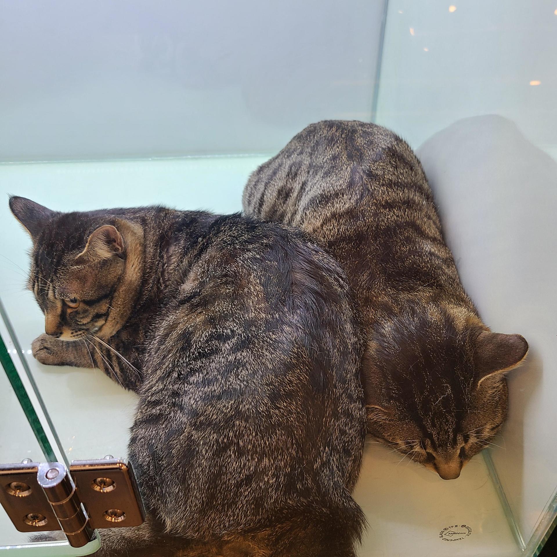 1d741f16a7d11.jpg